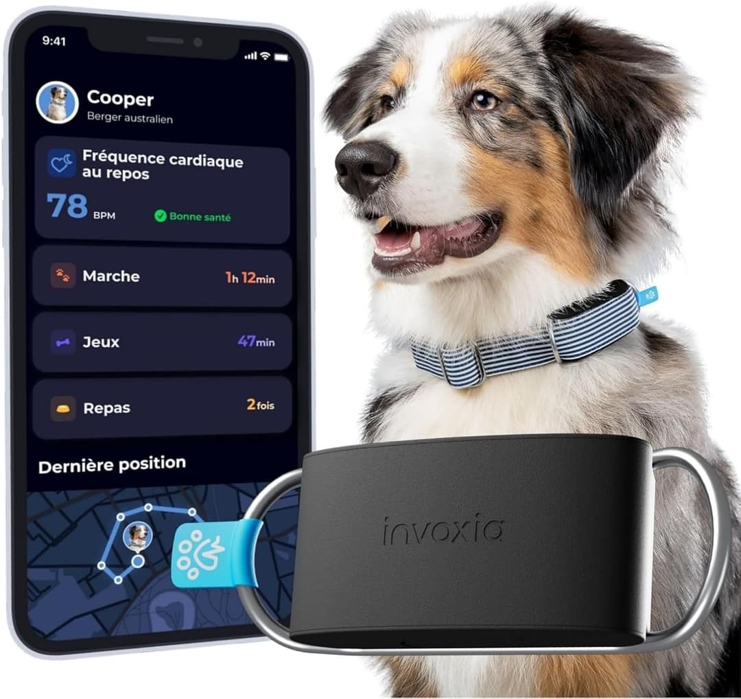 Avis Invoxia Biotracker Chien